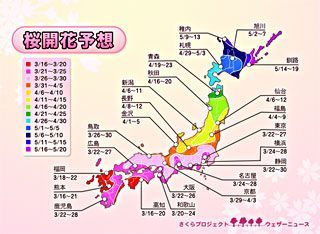 桜開花傾向 2010/3/1発表